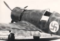 Fiat G.50 / Virtuaalilentjien kokoelma